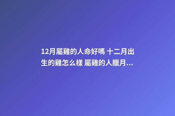 12月屬雞的人命好嗎 十二月出生的雞怎么樣 屬雞的人臘月出生命運如何，屬雞的人運氣好嗎？